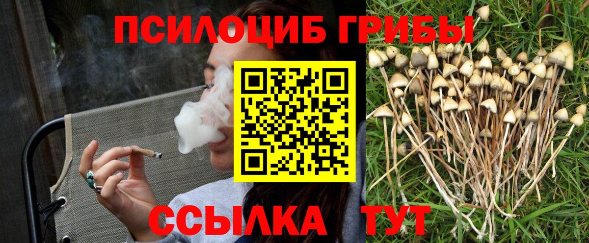 Псилоцибиновые грибы Magic Shrooms Боровичи