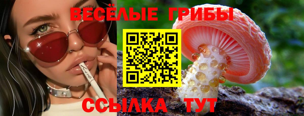 Галлюциногенные грибы мицелий  Вход с VPN  Боровичи  Псилоцибиновые грибы Psilocybine cubensis 